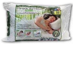 Image of Miracle Bamboo Pillow