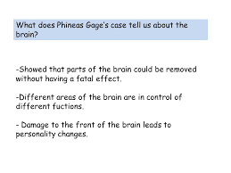 What Really Happened to Phineas Gage      Psychology s Most Famous     Unit    Biological Psychology