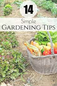 14 Simple Gardening Tips Tips To Help