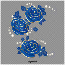 blue rose images hd pictures for free