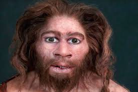 Le loro differenze sono minime commenta e condividi Trieste A Visogliano Trovato Uomo Di Neanderthal Informatrieste