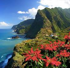Madeira is a portuguese archipelago in the atlantic ocean, consisting of pico das torres : Insel Abc Madeira Ist Fur Naturfreunde Ein Wahres Paradies Welt