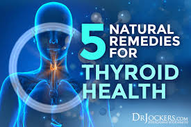 5 natural remes for thyroid health