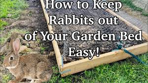 keep rabbits out of raised garden beds