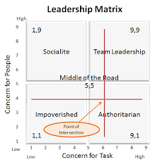 Leadership Matrix Survey