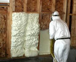 Spray Foam Insulation Wentzel S