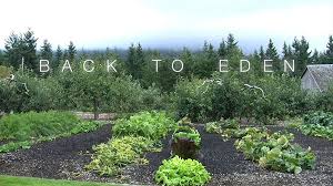 Back To Eden Gardening Journey To
