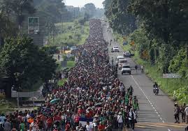 Image result for migrant caravan