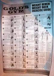 gold s home gym workout chart outlet