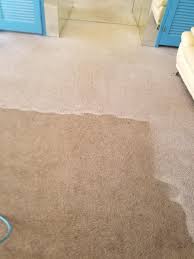carpet cleaning palm beach county