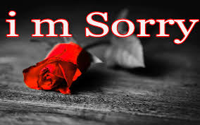 i am sorry pics red hd wallpapers pxfuel