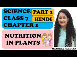 nutrition in plants cl 7 science