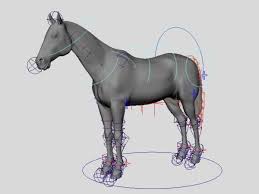 horse rig free 3d model ma mb