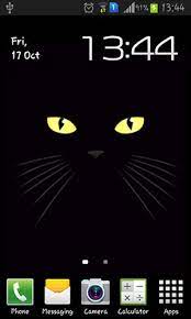 Android Wallpaper Black Cat 3071