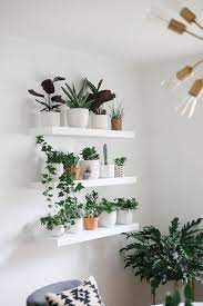 22 plant shelf ideas that are perfectly