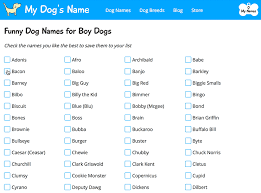 web design case study my dog s name