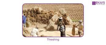 threshing difference between