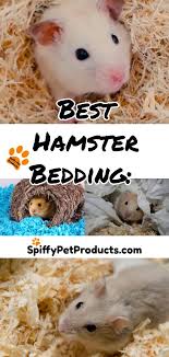 best hamster bedding the ultimate