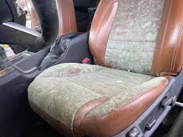 how to remove mold from car seats how