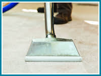 find professional carpet cleaners near