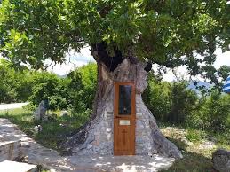Tree Church of Agios Paisios | Religious Destinations