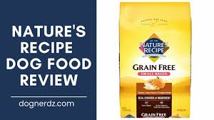 nature s recipe dog food review in 2023