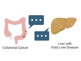 how fatty liver disease helps cancer