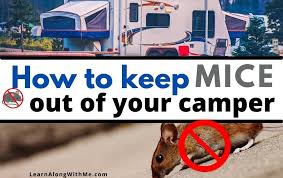 how to keep mice out of your cer