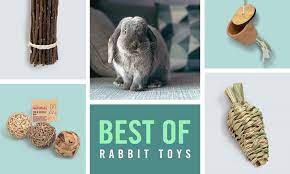 the best rabbit toys of 2022 chew toys