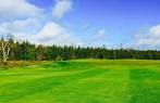 Clovelly Golf Course - Osprey in St. John