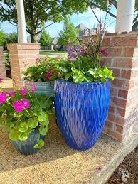 Container Gardening Tips Patina Paint