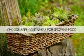 choose safe containers for growing food