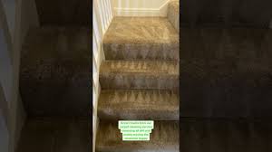 carpet cleaning wirral carpet cleaners