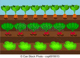 Animated Vegetable Garden