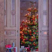 Die besten weihnachtsbäume im vergleich. Den Weihnachtsbaum Pflegen Tipps Tricks Living At Home