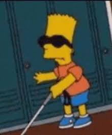 Blind GIFs | Tenor