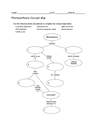 Photosynthesis Concept Map Graphic Organizer For 5th 12th
