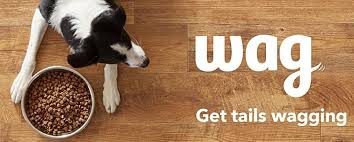 Maybe you would like to learn more about one of these? A Vet Reviews Wag Dog Food Pet Life Today