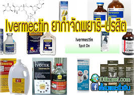 ยา ivermectin 6 mg ราคา tablets