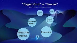 caged bird v s fences by zay alasaad