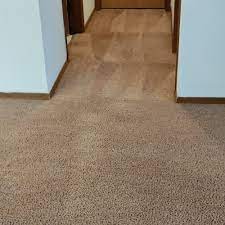 carpet cleaner al in oshkosh wi
