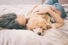 why-do-dogs-sleep-near-your-head