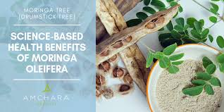 92 Nutrients 46 Antioxidants In One Tree Moringa Oleifera
