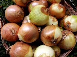 Weight Equivalents Onions