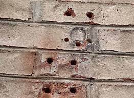 How can I fill the holes in the bricks on my house? - The Washington Post
