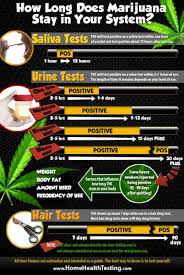 Urine Drug Test To Find Marijuana In Your System The Weed