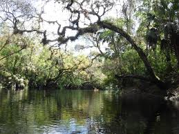 Hillsborough river state park kayaking. Hillsborough River State Park Offers A Wilderness Experience Near Tampa