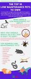 What is a low maintenance pet?