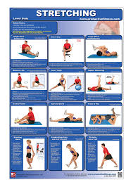 Buy Stretching Lower Body Laminated Poster Chart How To