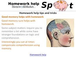    Tips to Help Make Homework Less Stressful  